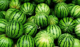 吃瓜网每日必吃,揭秘娱乐圈最新热点，带你畅游八卦海洋