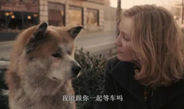 网红吃瓜事件狗头,狗头表情背后的网络狂欢与反思